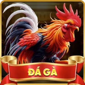 Biểu tượng đường dây nóng z88